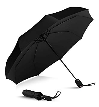 Windproof Travel Umbrella